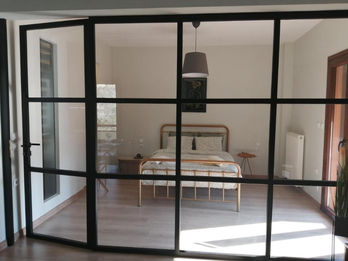 Eleana Apartment Ioannina Luaran gambar