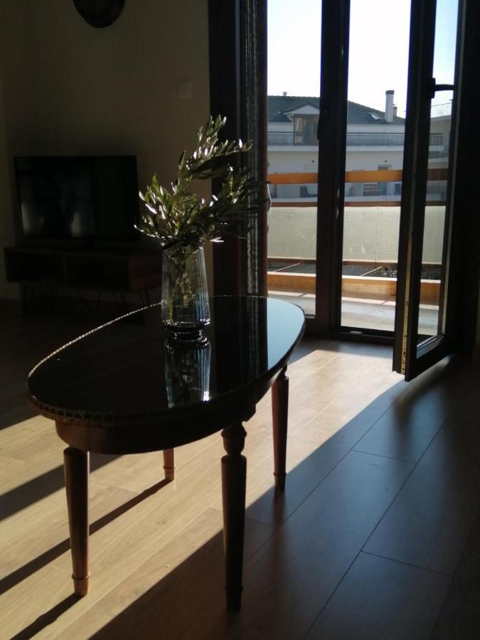 Eleana Apartment Ioannina Luaran gambar